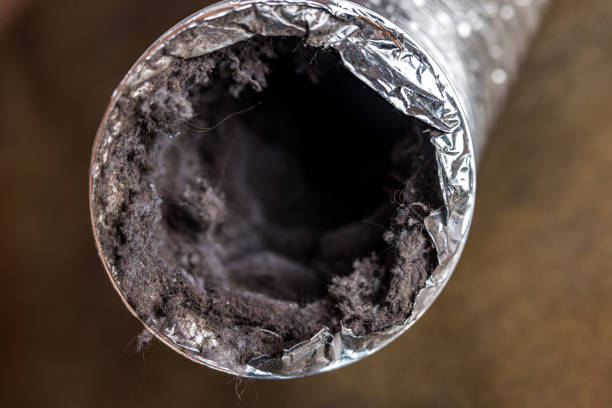 Best HVAC System Cleaning  in Hamilton, IN